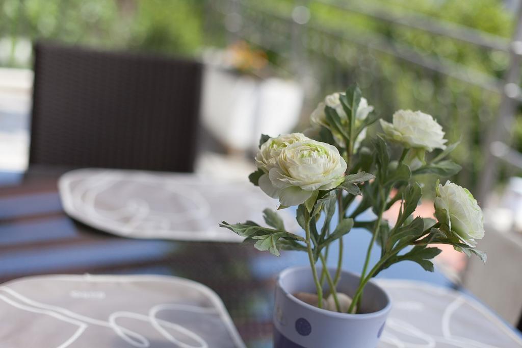 Apartment Rukavina ニヴィーチェ 部屋 写真